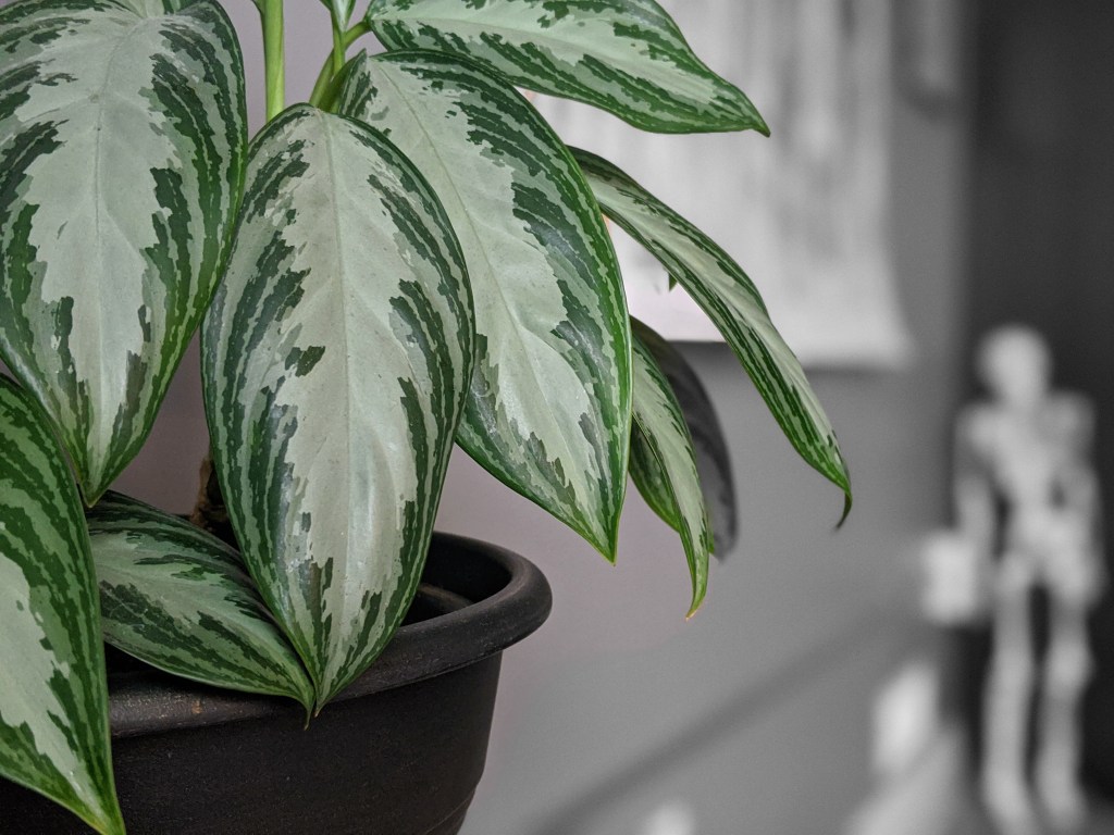 Changes To My&nbsp;Practice